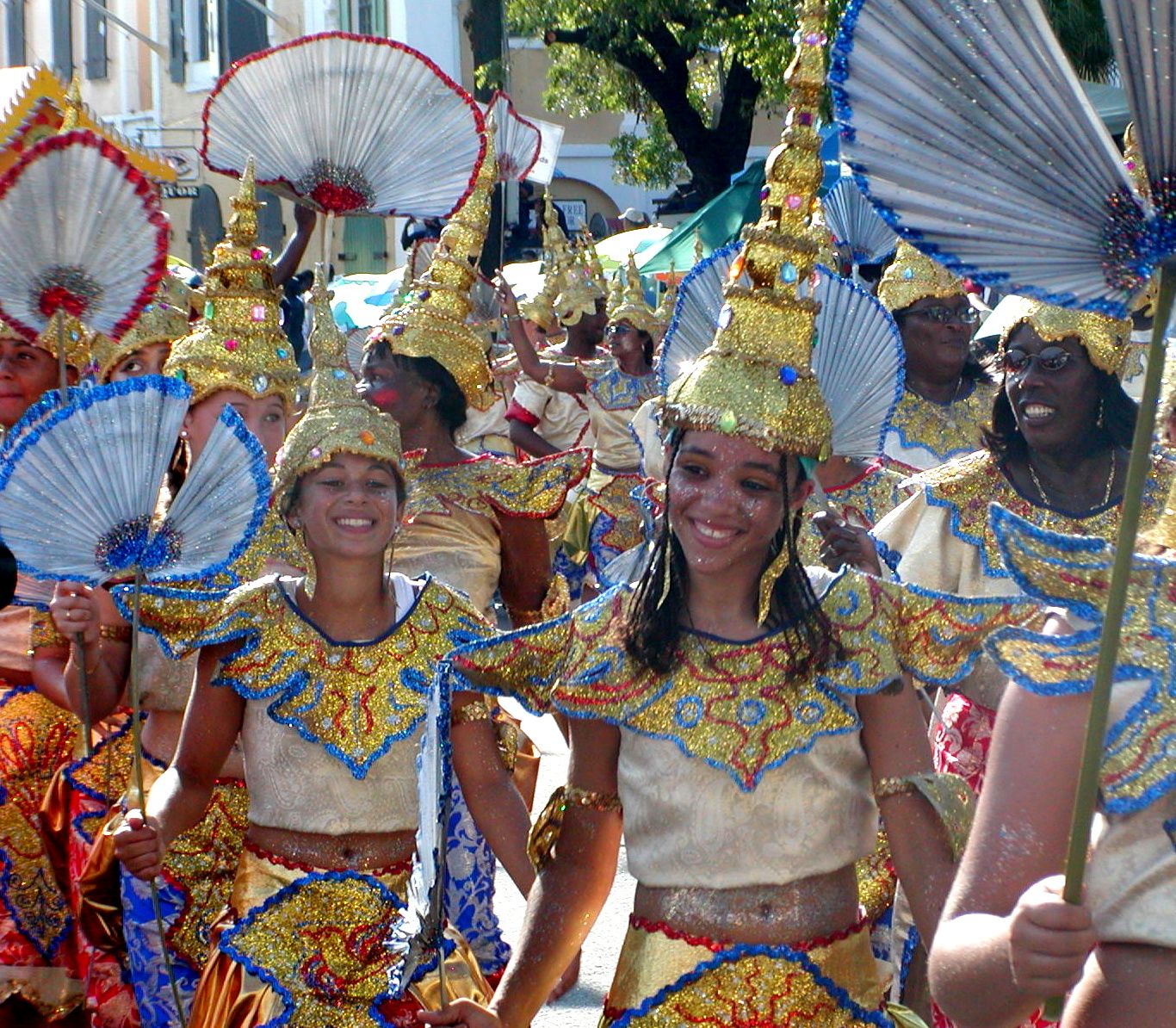 Carnival Committee Looking for Public Sponsorships, Anticipates Major